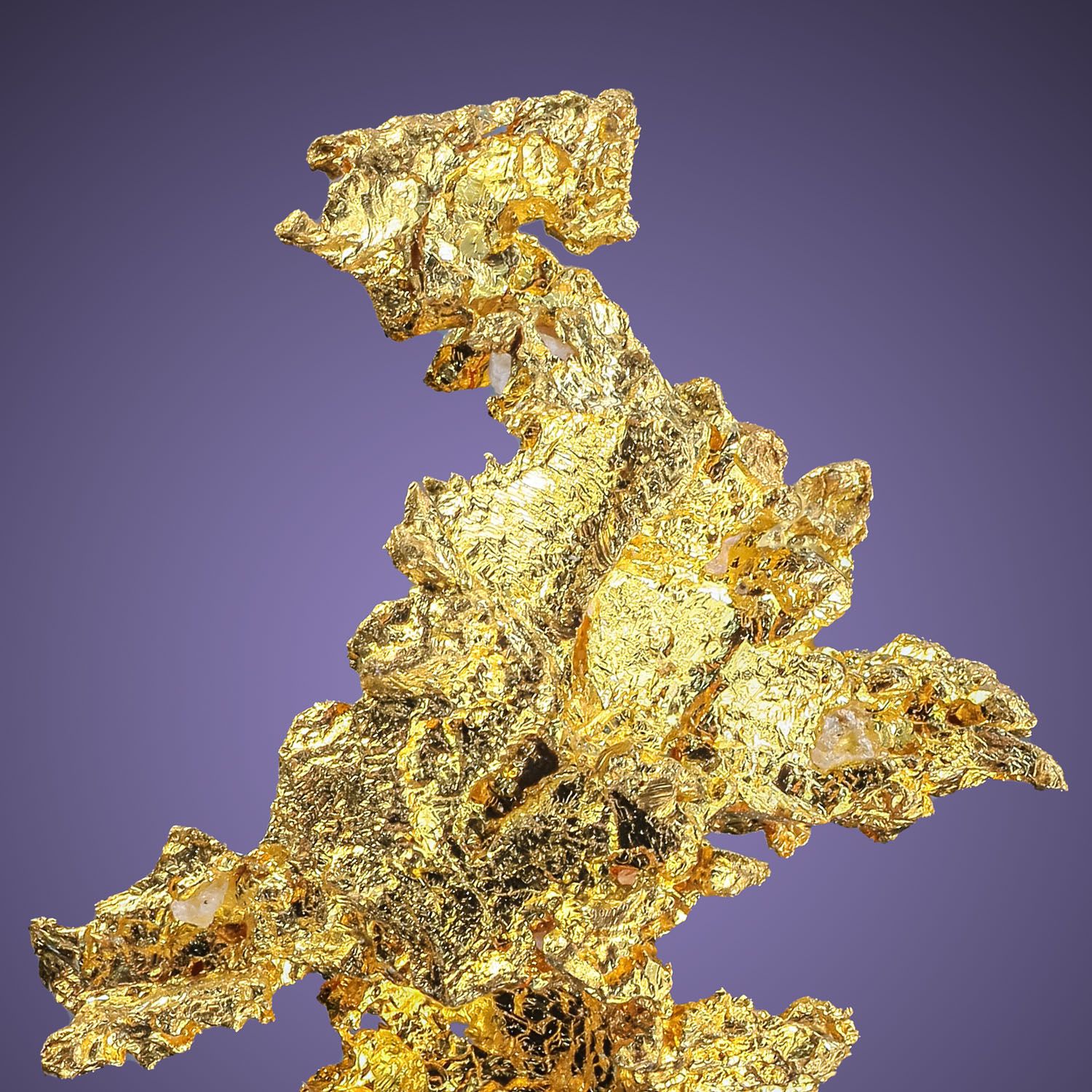 Wendel-Minerals | Item: 5214 - Gold-Eagle´s Nest Mine | Michigan Bluff